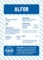 Alfor | Keramik-Formengips für Schlickerguss